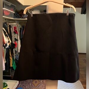Everlane Black A-Line Skirt